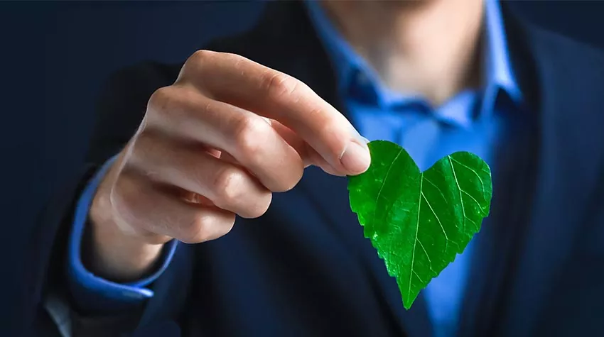 Umweltschutz ist für jedes Unternehmen wichtig. Ein Umweltbeauftragter kann euch helfen, euren ökologischen Fußabdruck im Auge zu behalten. © Shutterstock, Kim Kuperkova